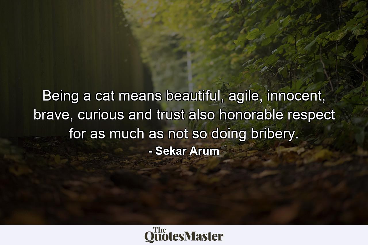 Being a cat means beautiful, agile, innocent, brave, curious and trust also honorable respect for as much as not so doing bribery. - Quote by Sekar Arum