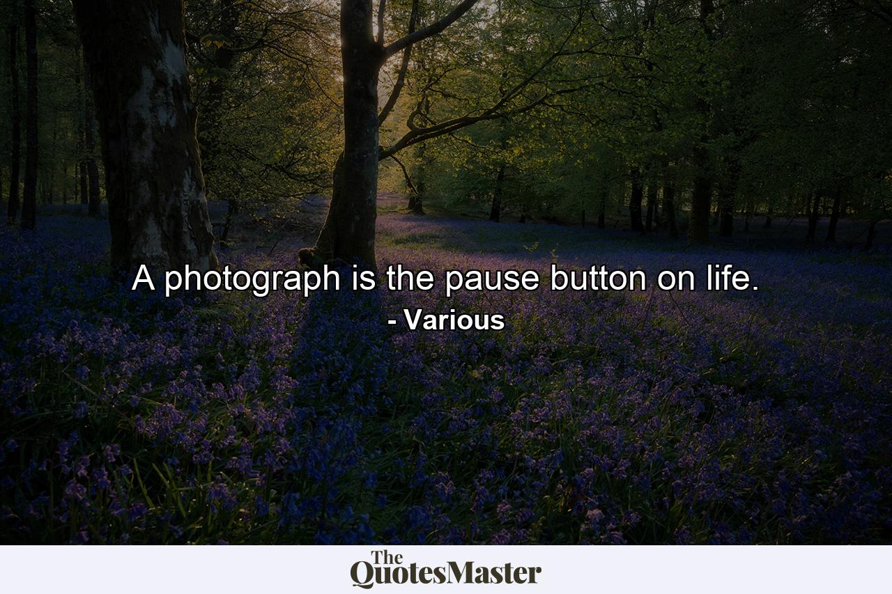 A photograph is the pause button on life. - Quote by Various