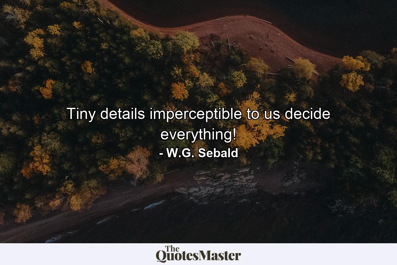 Tiny details imperceptible to us decide everything! - Quote by W.G. Sebald