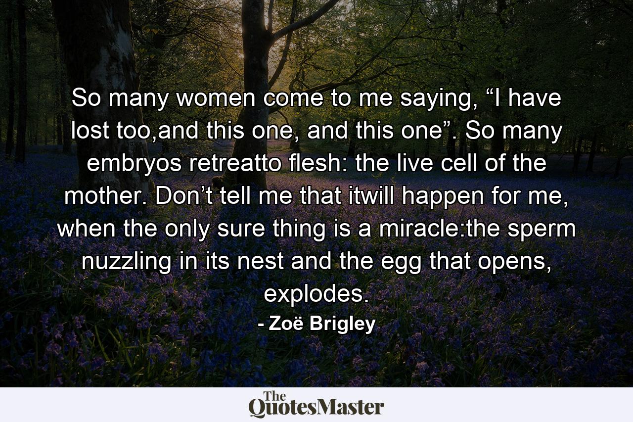 So many women come to me saying, “I have lost too,and this one, and this one”. So many embryos retreatto flesh: the live cell of the mother. Don’t tell me that itwill happen for me, when the only sure thing is a miracle:the sperm nuzzling in its nest and the egg that opens, explodes. - Quote by Zoë Brigley