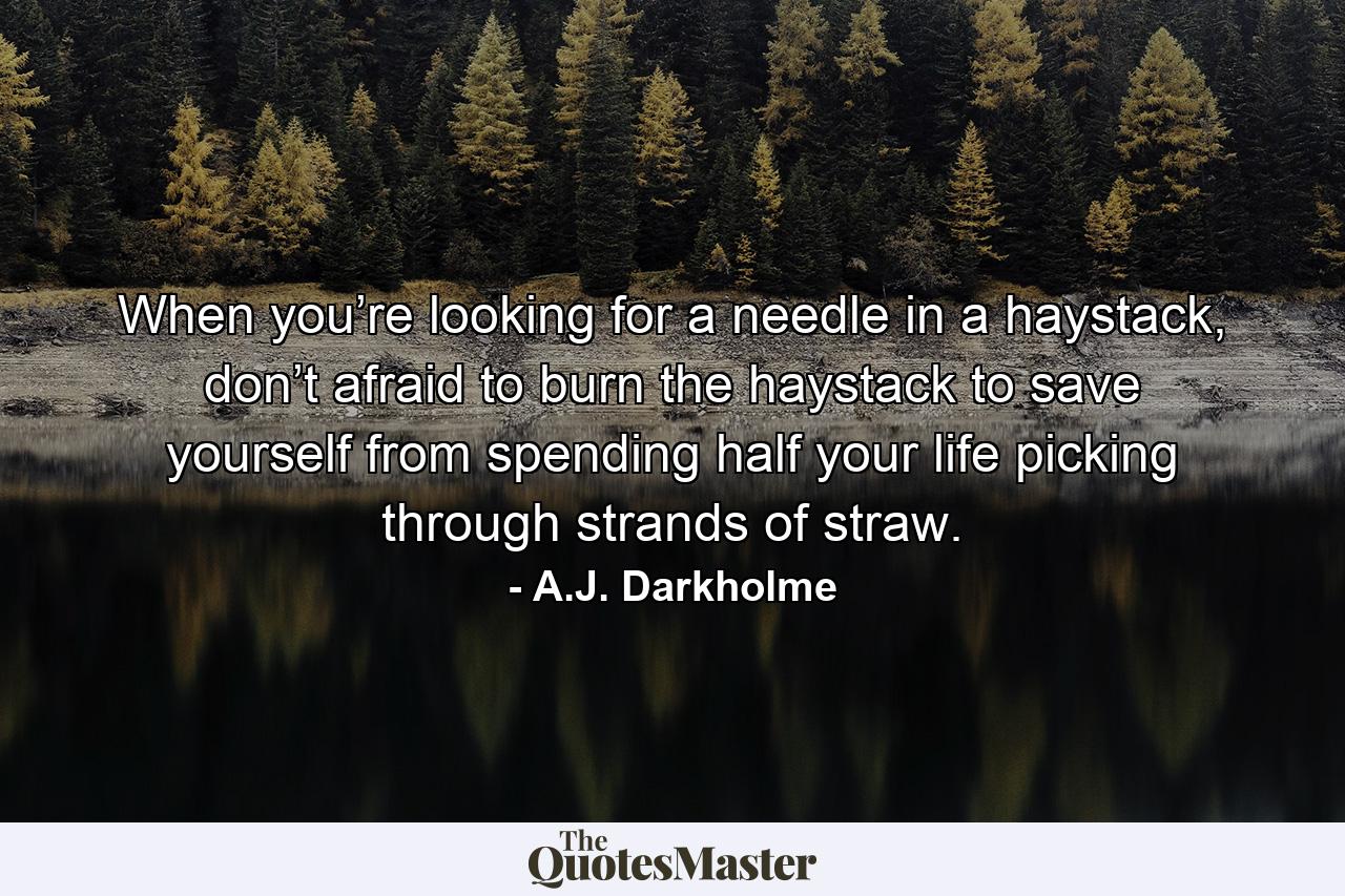 When you’re looking for a needle in a haystack, don’t afraid to burn the haystack to save yourself from spending half your life picking through strands of straw. - Quote by A.J. Darkholme