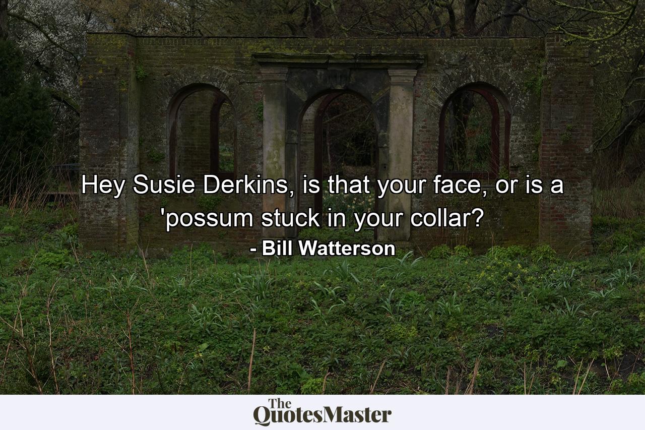 Hey Susie Derkins, is that your face, or is a 'possum stuck in your collar? - Quote by Bill Watterson