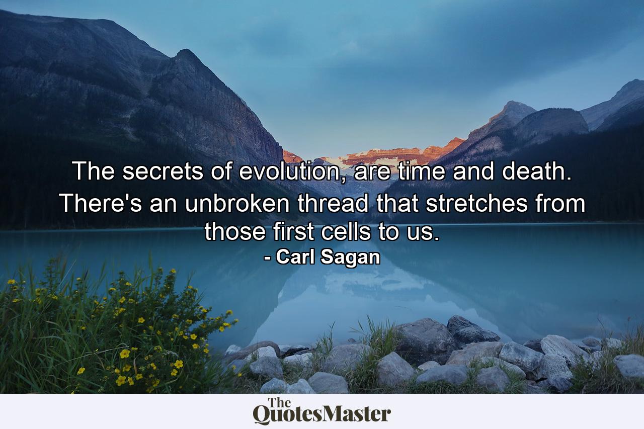 The secrets of evolution, are time and death. There's an unbroken thread that stretches from those first cells to us. - Quote by Carl Sagan