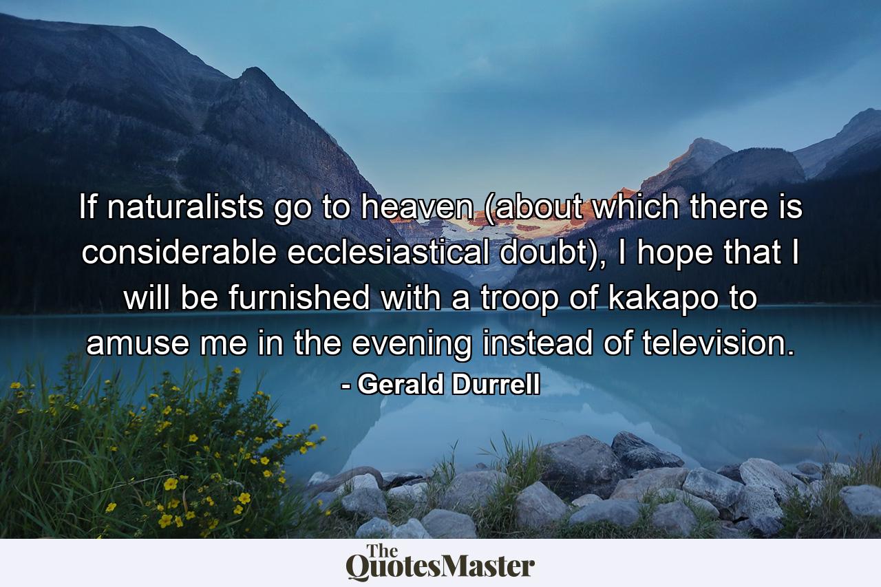 If naturalists go to heaven (about which there is considerable ecclesiastical doubt), I hope that I will be furnished with a troop of kakapo to amuse me in the evening instead of television. - Quote by Gerald Durrell