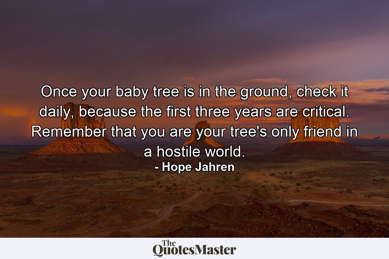 Once your baby tree is in the ground, check it daily, because the first three years are critical. Remember that you are your tree's only friend in a hostile world. - Quote by Hope Jahren