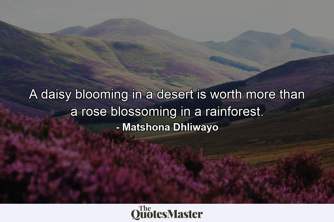 A daisy blooming in a desert is worth more than a rose blossoming in a rainforest. - Quote by Matshona Dhliwayo