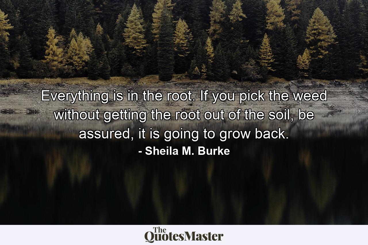 Everything is in the root. If you pick the weed without getting the root out of the soil, be assured, it is going to grow back. - Quote by Sheila M. Burke