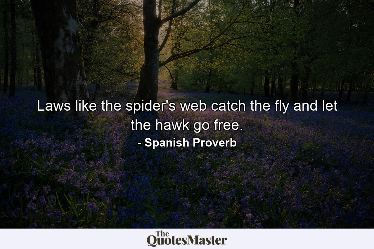 Laws  like the spider's web  catch the fly and let the hawk go free. - Quote by Spanish Proverb