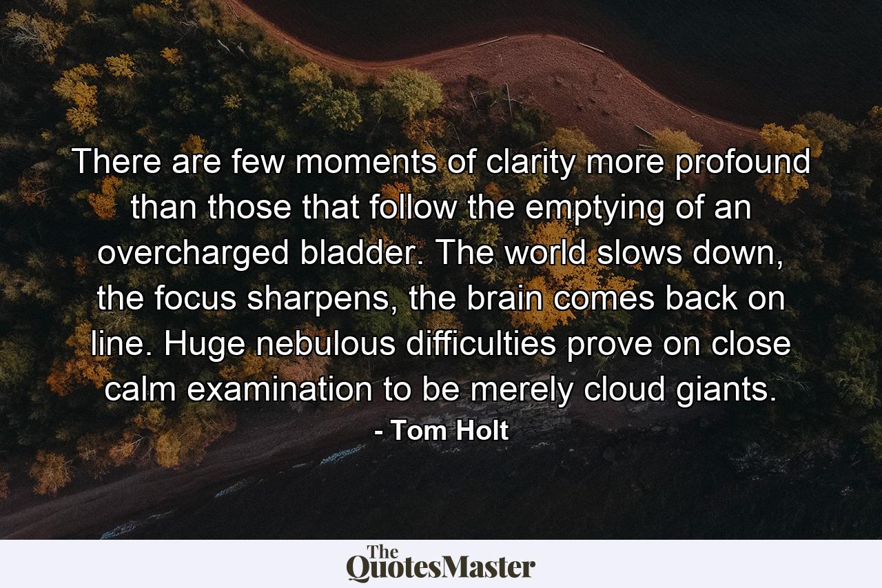 There are few moments of clarity more profound than those that follow the emptying of an overcharged bladder. The world slows down, the focus sharpens, the brain comes back on line. Huge nebulous difficulties prove on close calm examination to be merely cloud giants. - Quote by Tom Holt