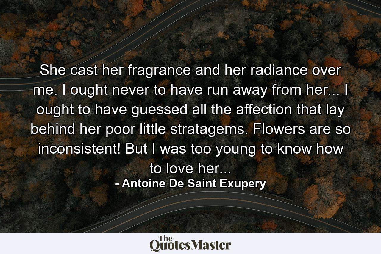 She cast her fragrance and her radiance over me. I ought never to have run away from her... I ought to have guessed all the affection that lay behind her poor little stratagems. Flowers are so inconsistent! But I was too young to know how to love her... - Quote by Antoine De Saint Exupery