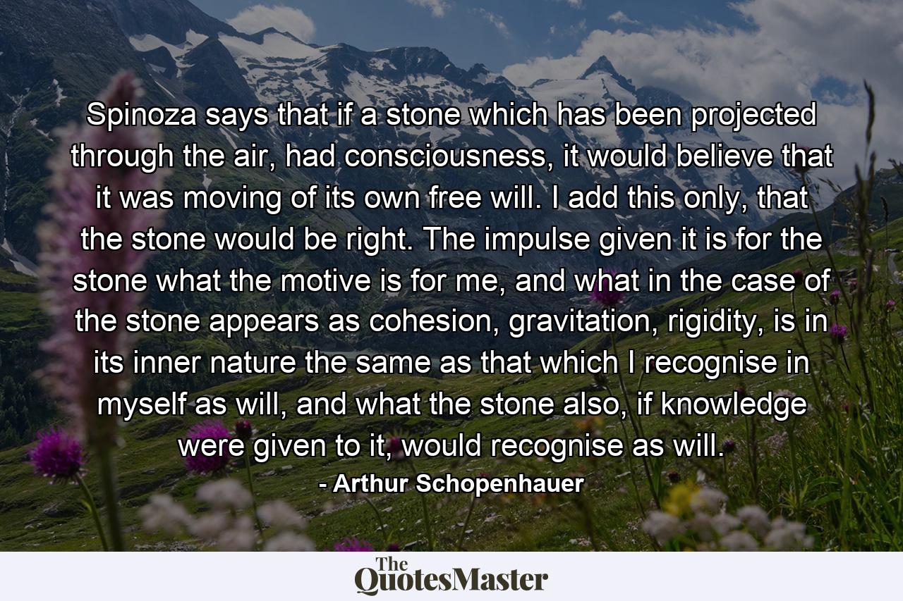 Spinoza says that if a stone which has been projected through the air, had consciousness, it would believe that it was moving of its own free will. I add this only, that the stone would be right. The impulse given it is for the stone what the motive is for me, and what in the case of the stone appears as cohesion, gravitation, rigidity, is in its inner nature the same as that which I recognise in myself as will, and what the stone also, if knowledge were given to it, would recognise as will. - Quote by Arthur Schopenhauer