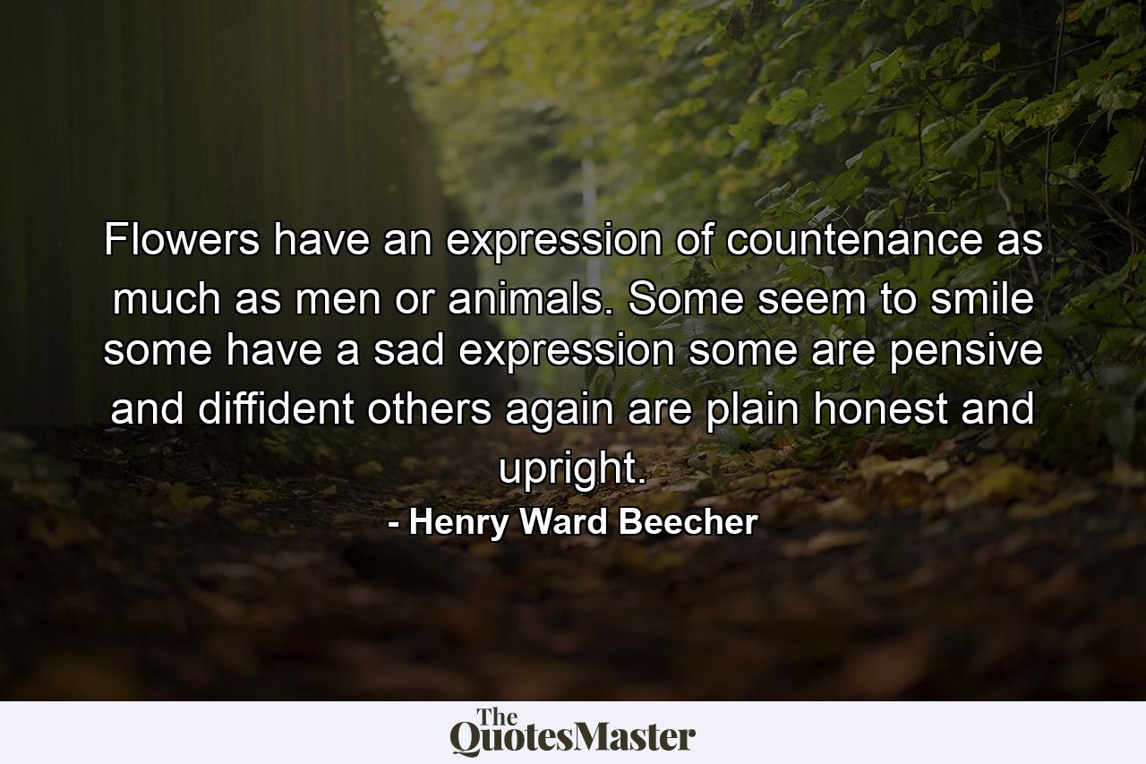 Flowers have an expression of countenance as much as men or animals. Some seem to smile  some have a sad expression  some are pensive and diffident  others again are plain  honest and upright. - Quote by Henry Ward Beecher