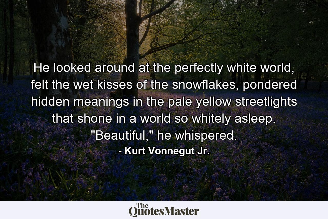 He looked around at the perfectly white world, felt the wet kisses of the snowflakes, pondered hidden meanings in the pale yellow streetlights that shone in a world so whitely asleep. 