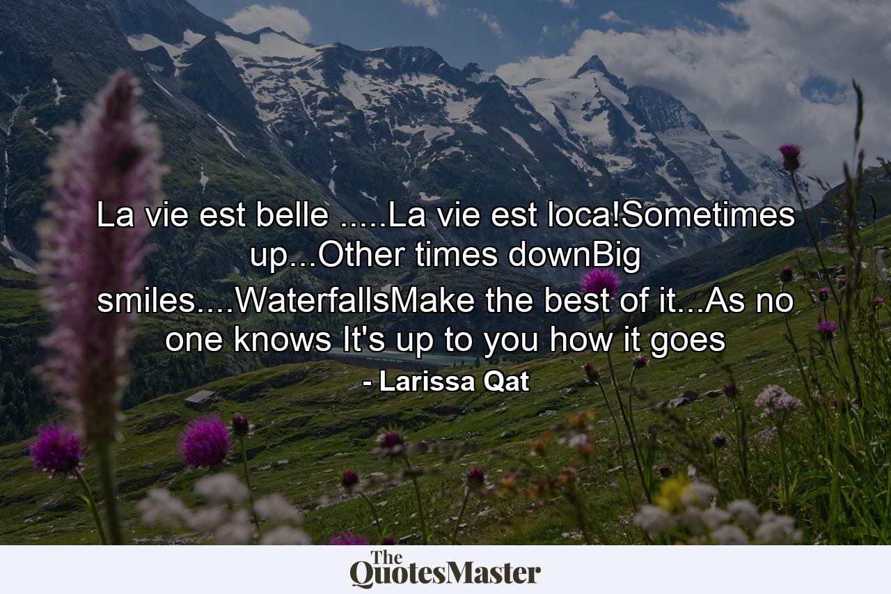 La vie est belle .....La vie est loca!Sometimes up...Other times downBig smiles....WaterfallsMake the best of it...As no one knows It's up to you how it goes - Quote by Larissa Qat