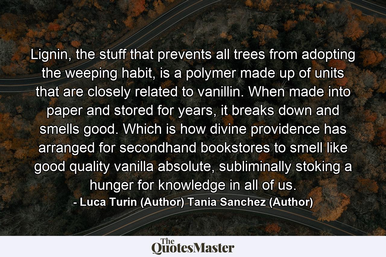 Lignin, the stuff that prevents all trees from adopting the weeping habit, is a polymer made up of units that are closely related to vanillin. When made into paper and stored for years, it breaks down and smells good. Which is how divine providence has arranged for secondhand bookstores to smell like good quality vanilla absolute, subliminally stoking a hunger for knowledge in all of us. - Quote by Luca Turin (Author) Tania Sanchez (Author)