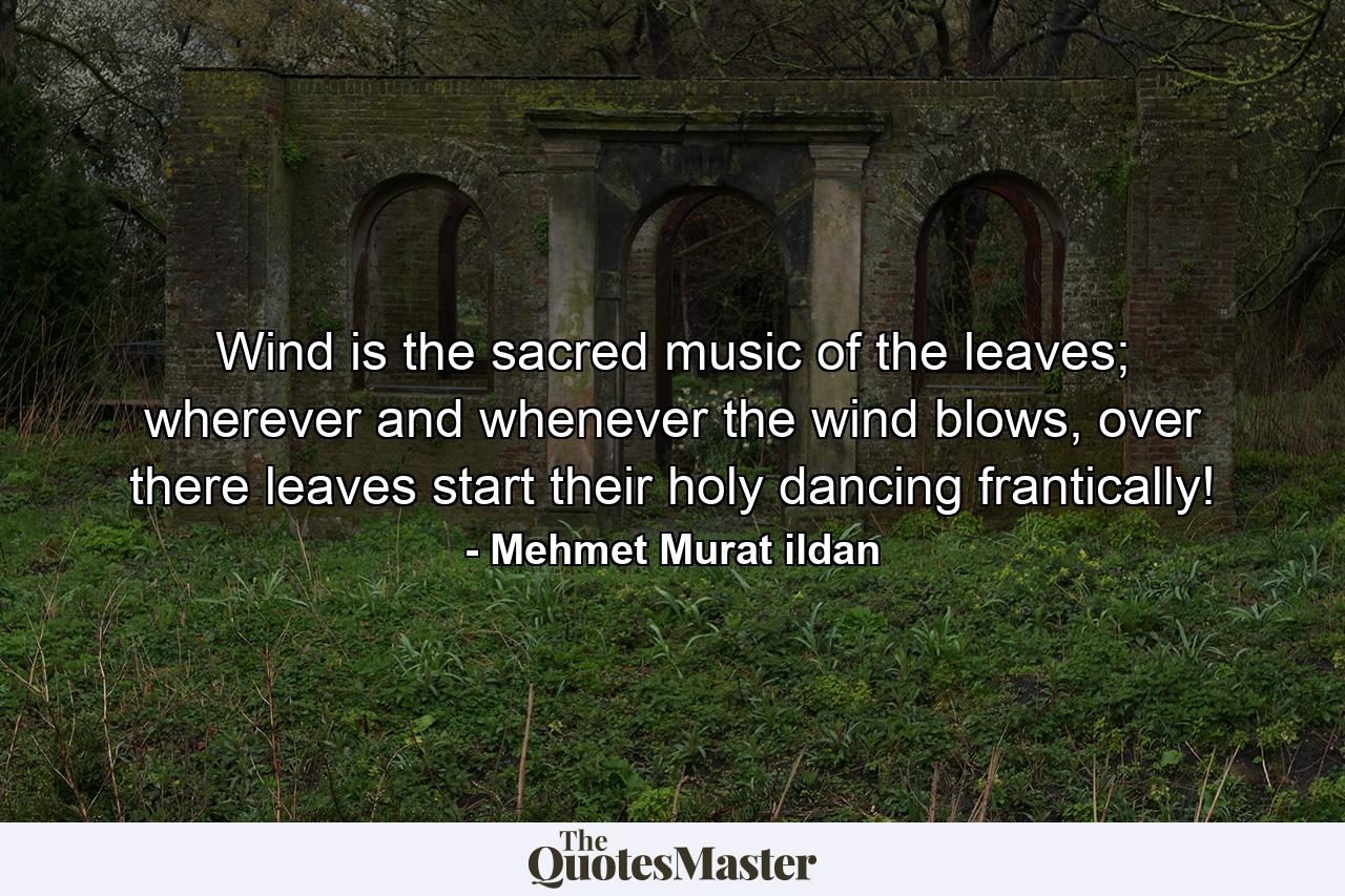 Wind is the sacred music of the leaves; wherever and whenever the wind blows, over there leaves start their holy dancing frantically! - Quote by Mehmet Murat ildan