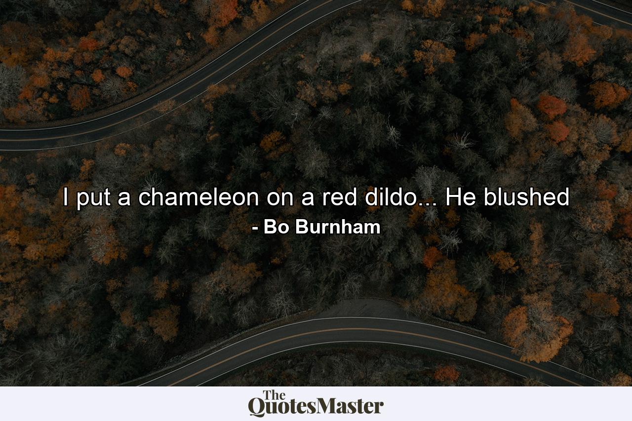 I put a chameleon on a red dildo... He blushed - Quote by Bo Burnham