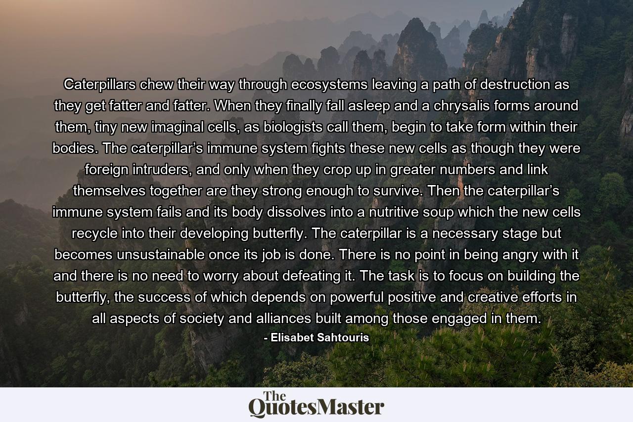 Caterpillars chew their way through ecosystems leaving a path of destruction as they get fatter and fatter. When they finally fall asleep and a chrysalis forms around them, tiny new imaginal cells, as biologists call them, begin to take form within their bodies. The caterpillar’s immune system fights these new cells as though they were foreign intruders, and only when they crop up in greater numbers and link themselves together are they strong enough to survive. Then the caterpillar’s immune system fails and its body dissolves into a nutritive soup which the new cells recycle into their developing butterfly. The caterpillar is a necessary stage but becomes unsustainable once its job is done. There is no point in being angry with it and there is no need to worry about defeating it. The task is to focus on building the butterfly, the success of which depends on powerful positive and creative efforts in all aspects of society and alliances built among those engaged in them. - Quote by Elisabet Sahtouris
