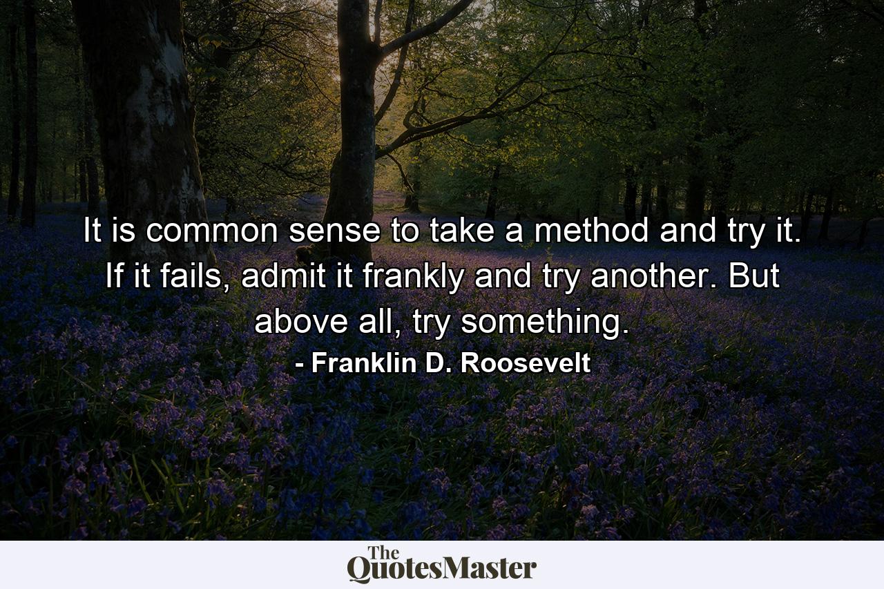 It is common sense to take a method and try it. If it fails, admit it frankly and try another. But above all, try something. - Quote by Franklin D. Roosevelt