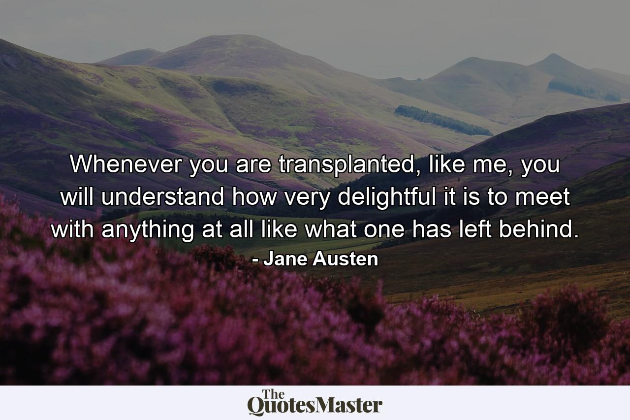 Whenever you are transplanted, like me, you will understand how very delightful it is to meet with anything at all like what one has left behind. - Quote by Jane Austen