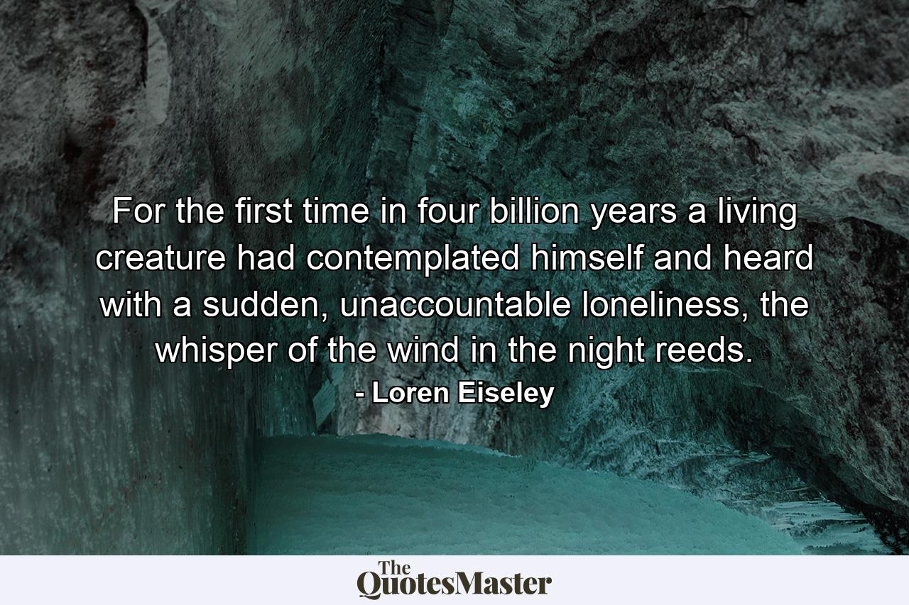 For the first time in four billion years a living creature had contemplated himself and heard with a sudden, unaccountable loneliness, the whisper of the wind in the night reeds. - Quote by Loren Eiseley