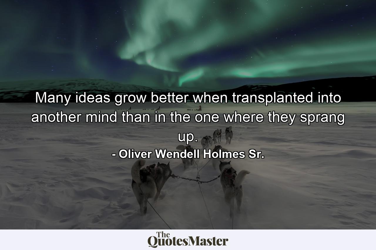 Many ideas grow better when transplanted into another mind than in the one where they sprang up. - Quote by Oliver Wendell Holmes Sr.