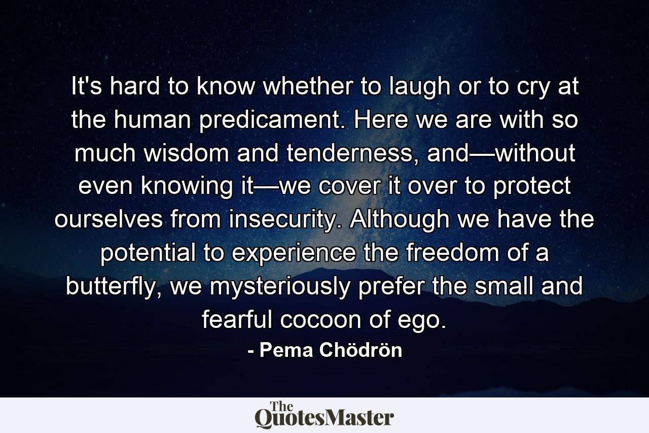 It's hard to know whether to laugh or to cry at the human predicament. Here we are with so much wisdom and tenderness, and—without even knowing it—we cover it over to protect ourselves from insecurity. Although we have the potential to experience the freedom of a butterfly, we mysteriously prefer the small and fearful cocoon of ego. - Quote by Pema Chödrön