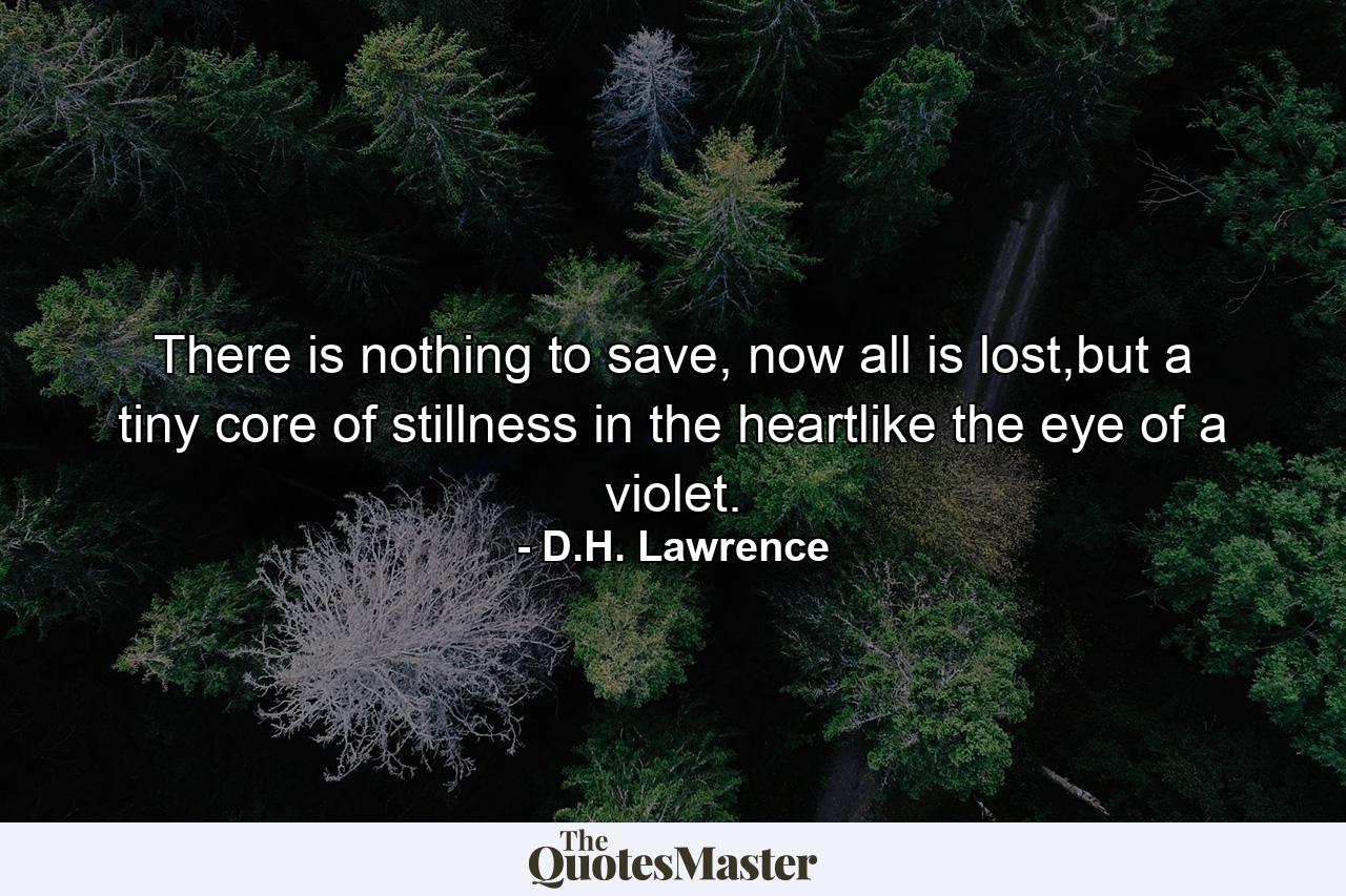 There is nothing to save, now all is lost,but a tiny core of stillness in the heartlike the eye of a violet. - Quote by D.H. Lawrence