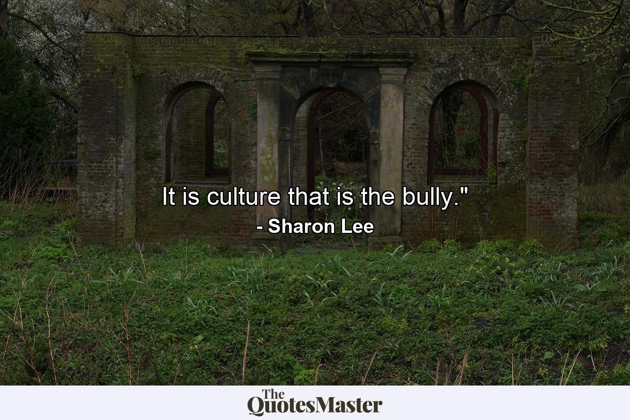 It is culture that is the bully.