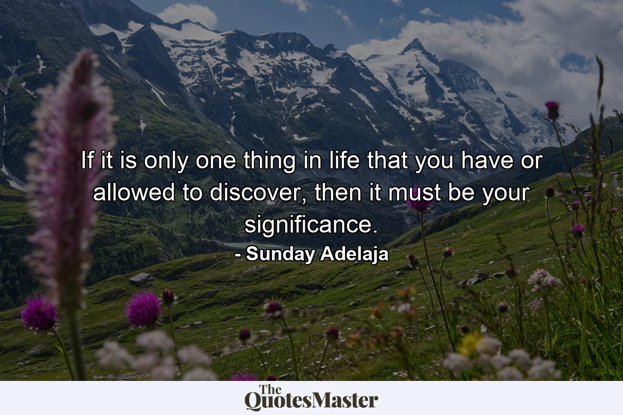 If it is only one thing in life that you have or allowed to discover, then it must be your significance. - Quote by Sunday Adelaja