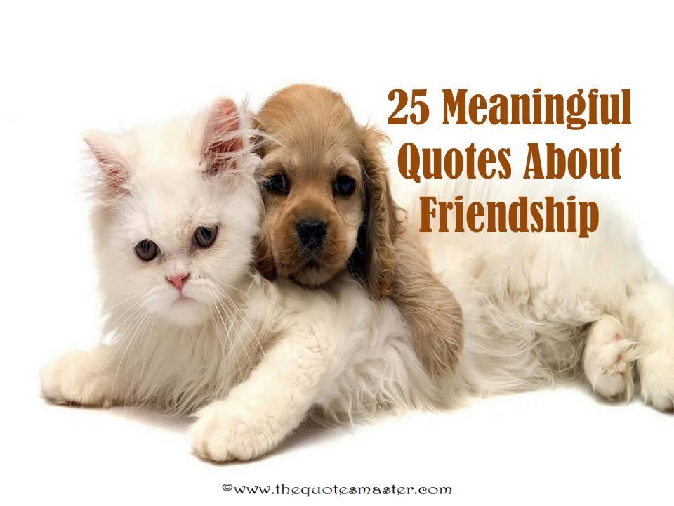 25 Meaningful Quotes About Friendship