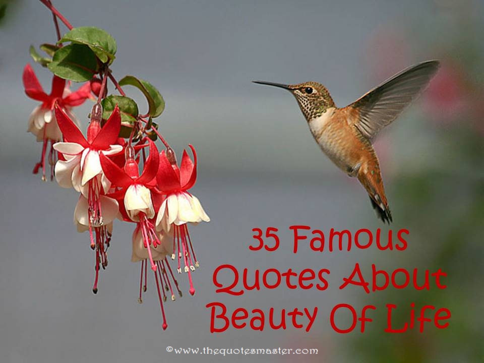 35 Famous Quotes About Beauty Of Life
