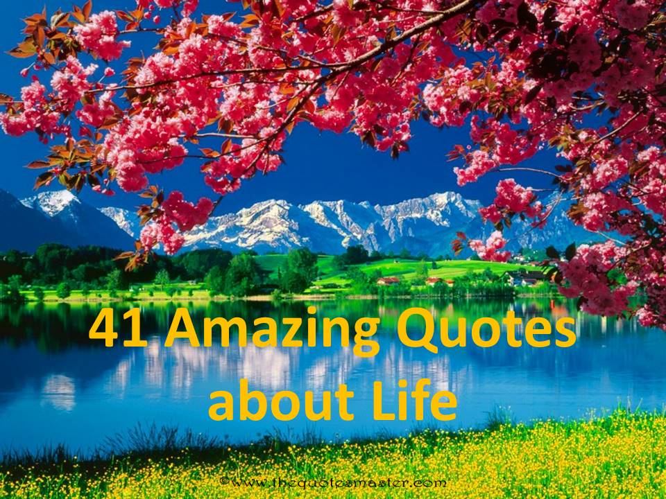 41 Amazing Quotes About Life