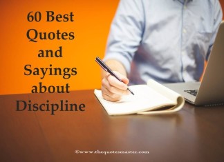 60 Best Quotes and Sayings about Discipline