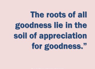 Quote about goodness
