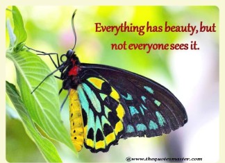 everything has beauty quotes