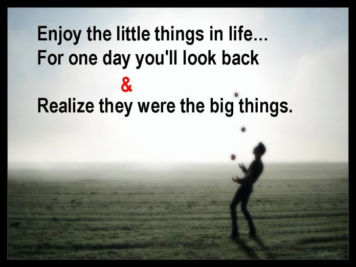 Enjoy the little things in life picture quotes