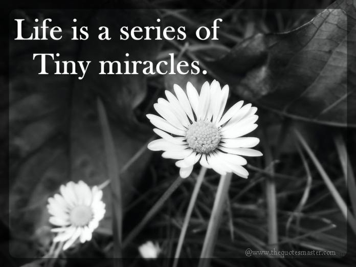 Life is a miracle picture quotes