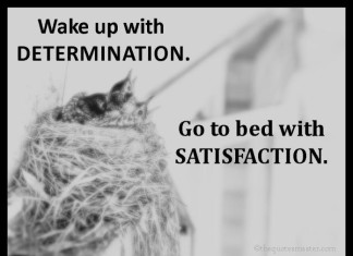 Determination picture quotes