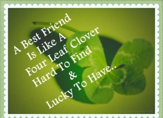 Friends Quotes Picture