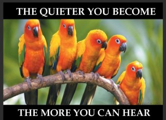 Keep Quiet Quotes with Pictures