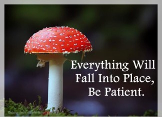 Be Patient Picture Quotes