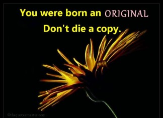Born Original Dont Die Copy Quotes