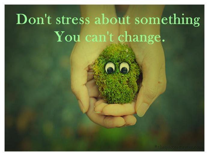 Dont Stress What you cant change quotes