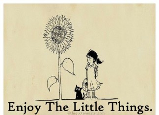 Enjoy the little things in life Quotes