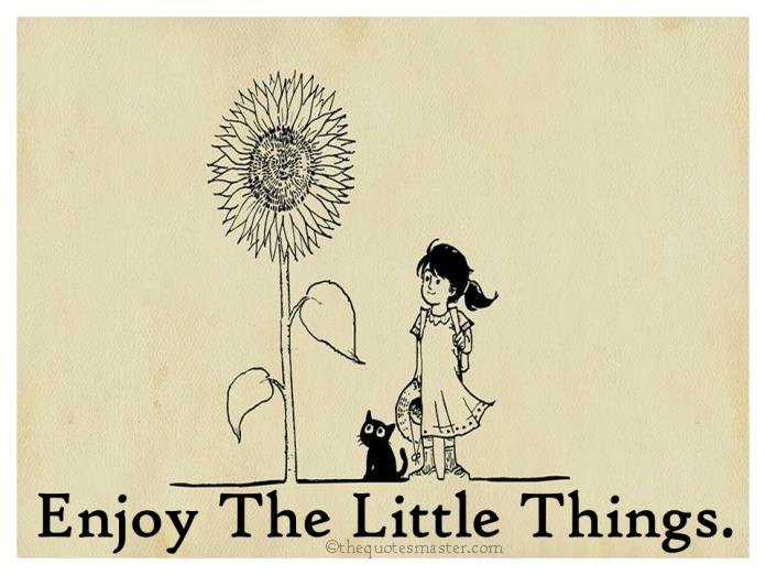 Enjoy the little things in life Quotes