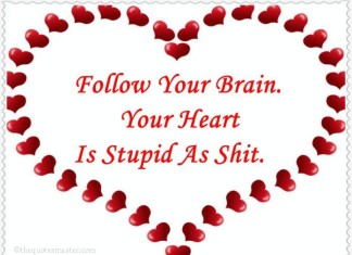 Follow your brain and not heart quotes
