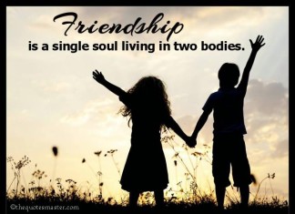 Friendship Quotes with images