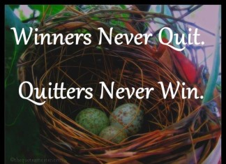 Winner never quit quotes