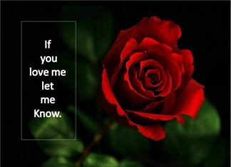 If you love me Quotes